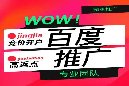 某企业SEM推广全流程解析——从策划到执行的成功案例